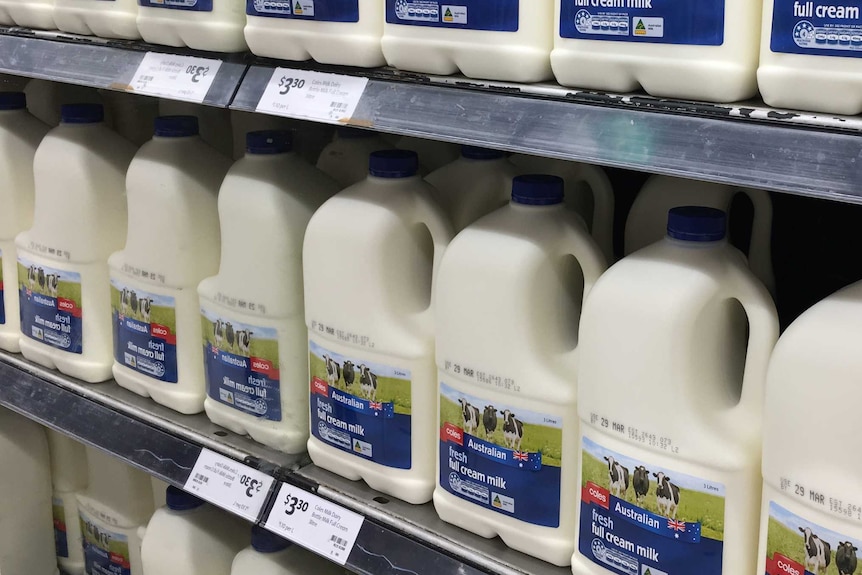 Bottles of generic milk in supermarket.