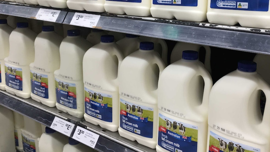 Bottles of generic milk in supermarket.