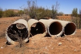 The concrete pipes that missing man Phu Tran used to shelter in during the night.