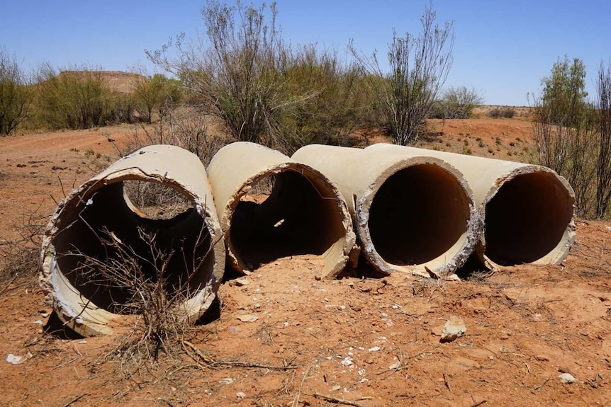 The concrete pipes that missing man Phu Tran used to shelter in during the night.