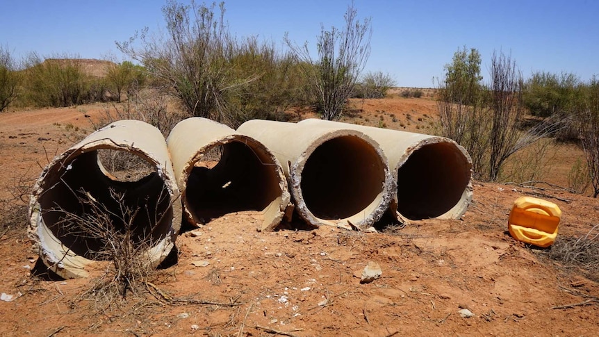 The concrete pipes that missing man Phu Tran used to shelter in during the night.