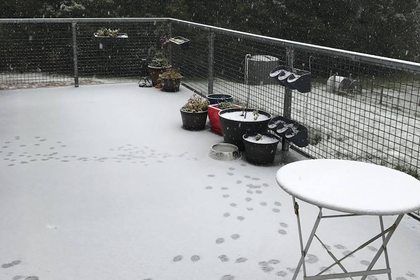 Footprints on an outdoor decking after snow falls in Newbury, near Trentham, in central Victoria.
