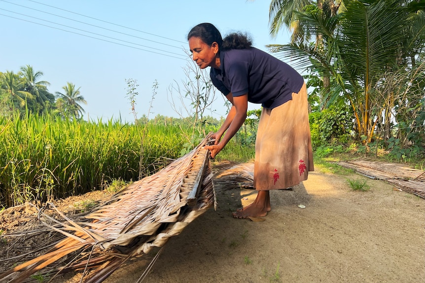 A woman moves woven sheets. A green field is visible behind her.
