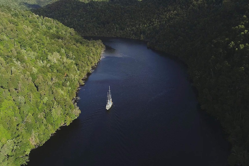 Aerial view from high up, yacht making its way upriver, the river banks clothed by dense rainforest