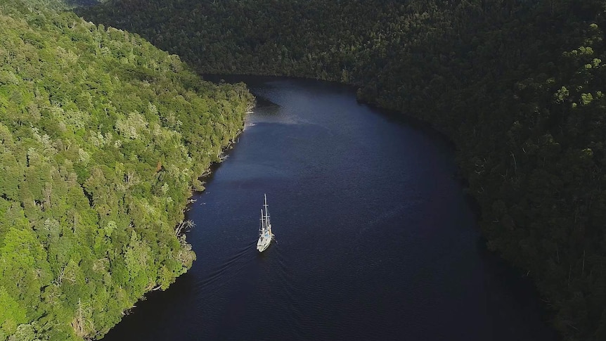 Aerial view from high up, yacht making its way upriver, the river banks clothed by dense rainforest