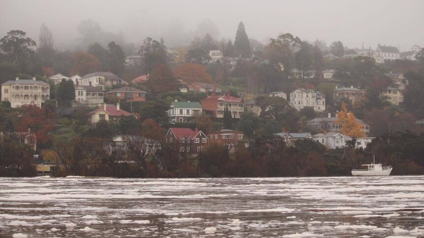 Foam covers the Tamar River while grey fog hangs above houses on its banks.