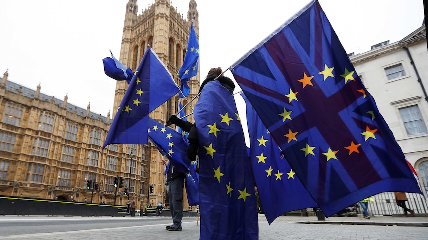 Anti-Brexit protesters wave EU and Union flags outside the Houses of Parliament.