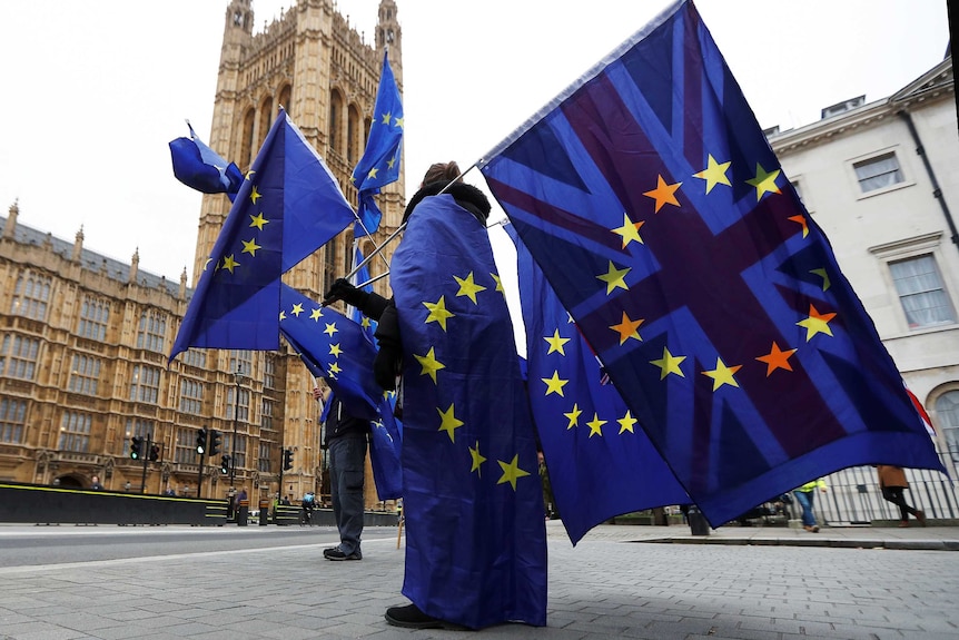 Anti-Brexit protesters wave EU and Union flags outside the Houses of Parliament.
