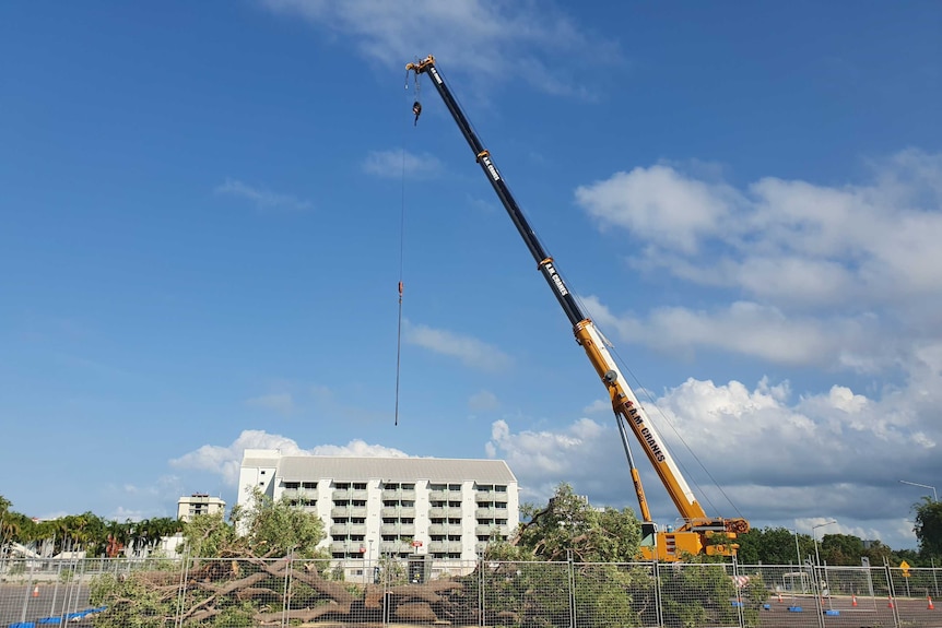 A crane hangs over a tree in the middle of a carpark. The tree is cut into many pieces and lays on the ground.