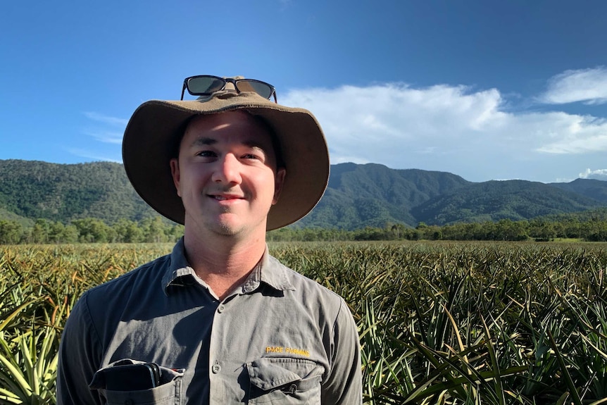 A young man in a khaki shirt and hat smiles as he stands in a field in front of rows of pineapple plants.