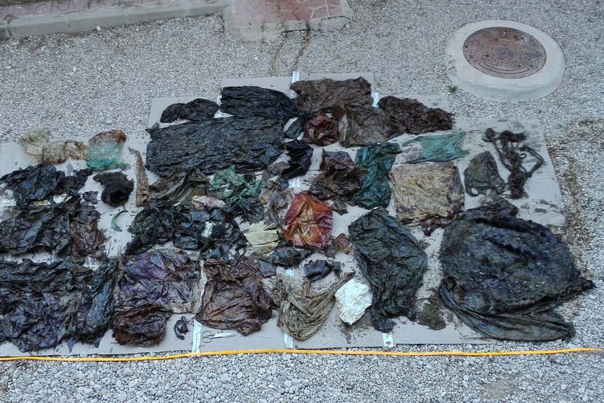 An assortment of plastic rubbish, including bags and wrappers, laid out on the ground.