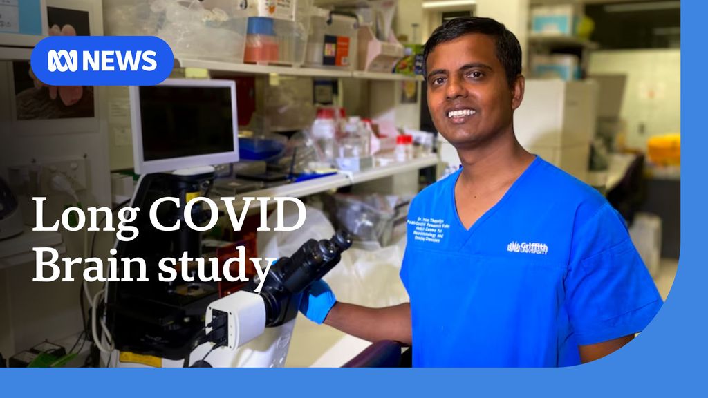 Study finds similarities in long COVID and chronic fatigue syndrome ...