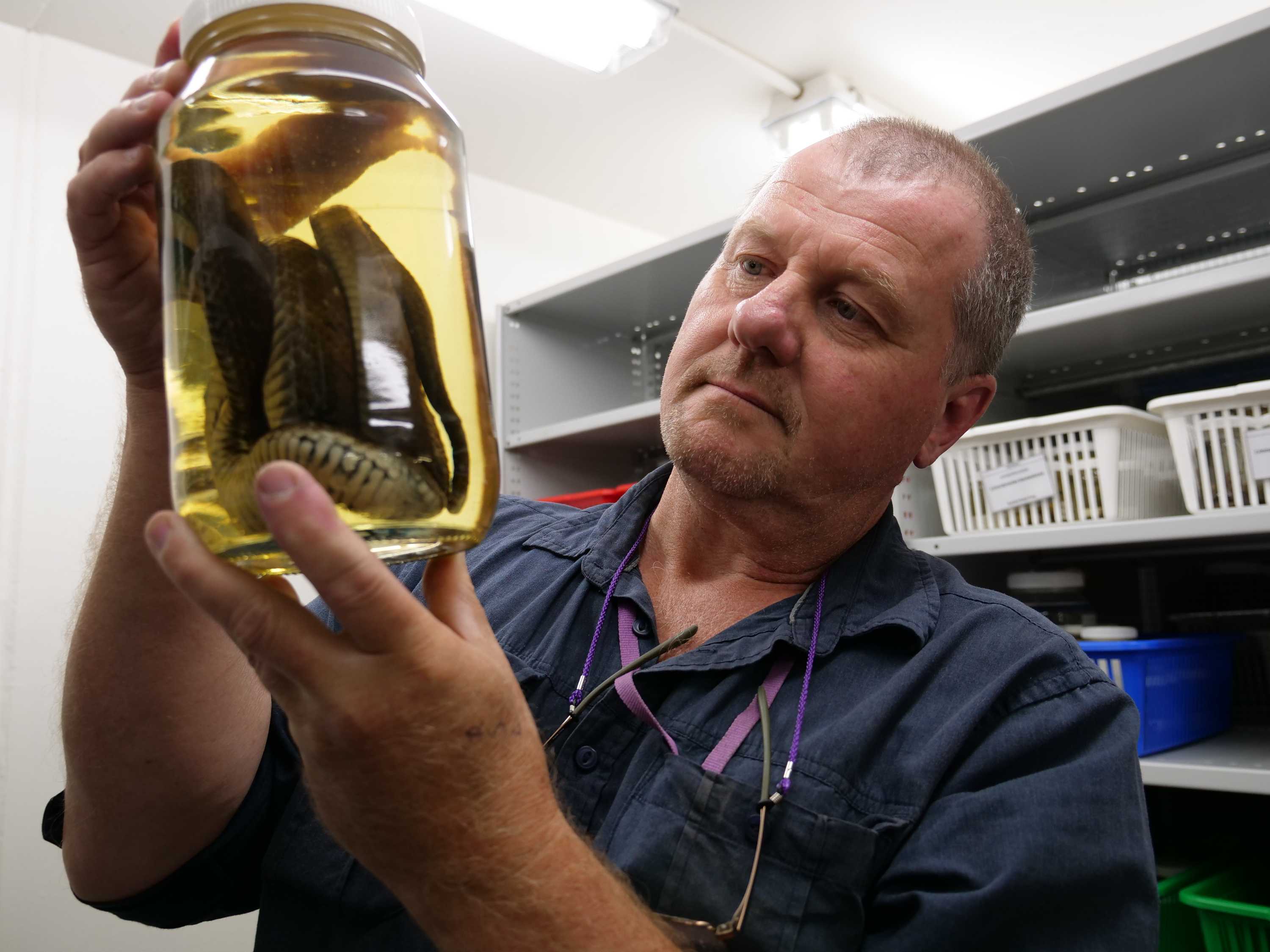 Simon Fearn holds a snake sample