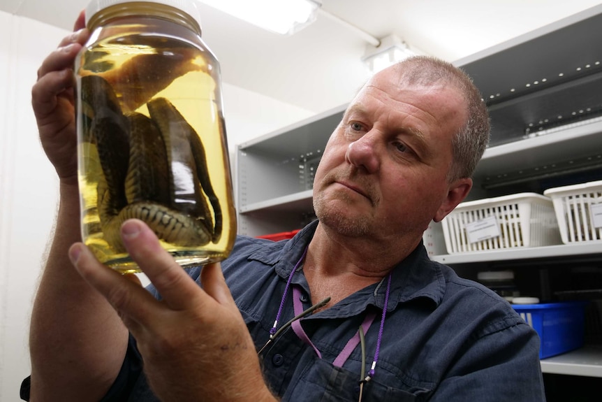 Simon Fearn holds a snake sample