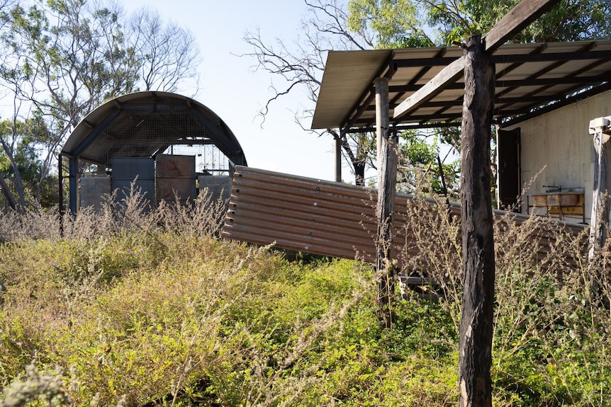 Former Mornington Island cattleyard