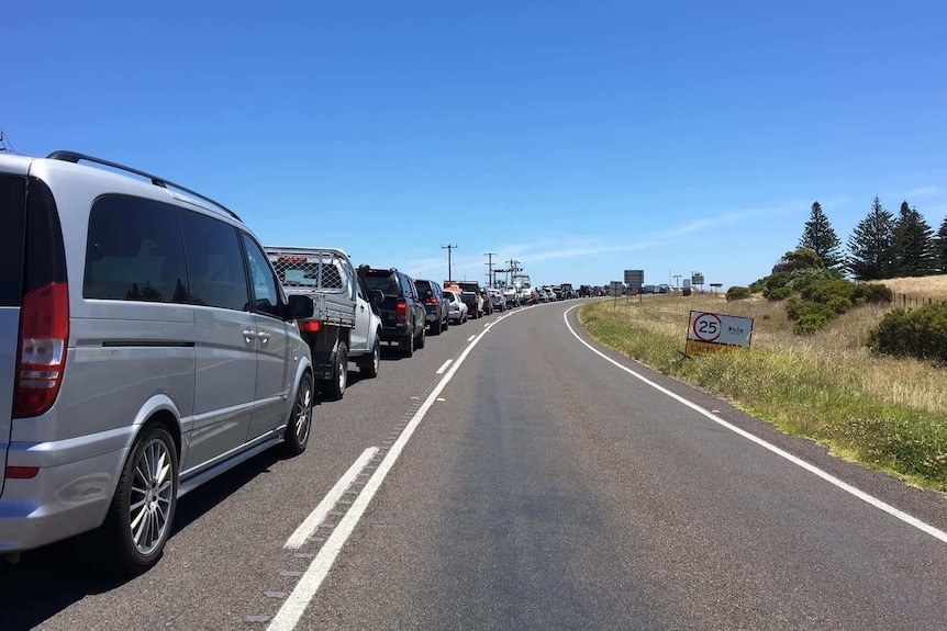 A long car pile-up on a sunny day, pine trees in the distance.