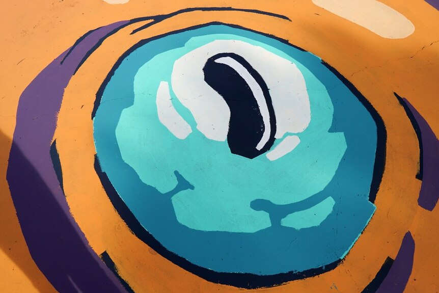 The purple, orange and blue eye of a giant squid painted on the Millicent skatepark.