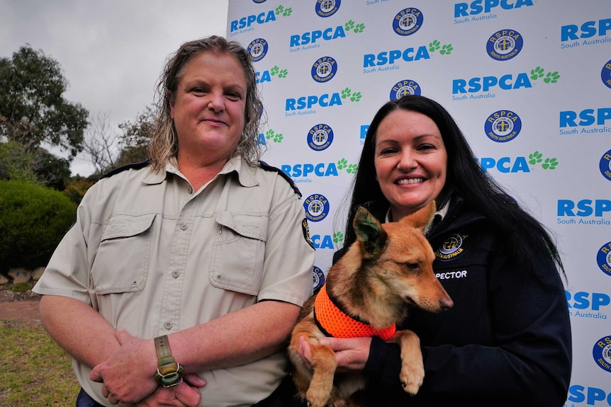 RSPCA chief inspector Andrea Lewis smiles at the camera with fellow inspector, Emma.