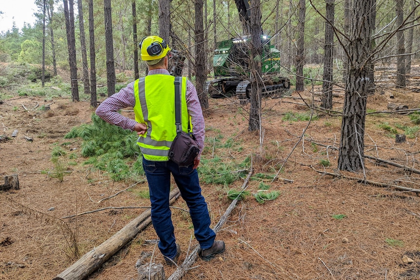 Brad Barr from behind wearing high-vis in forest with machinery in distance. 