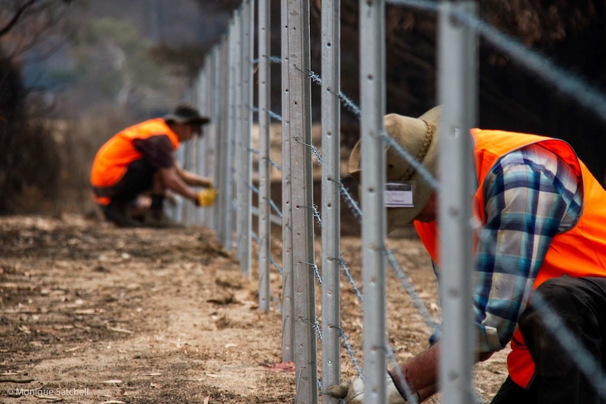 men wearing hi-vis kneel in front of a fence they're repairing.