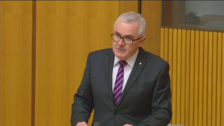Independent MP Andrew Wilkie used parliamentary privilege to reveal the intelligence charges
