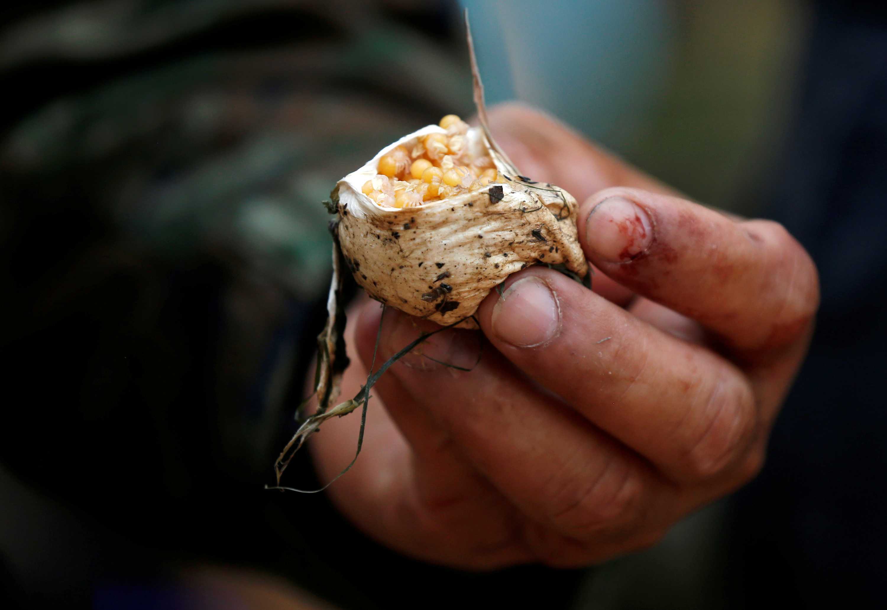 US troops drink snake blood during jungle survival training at the 