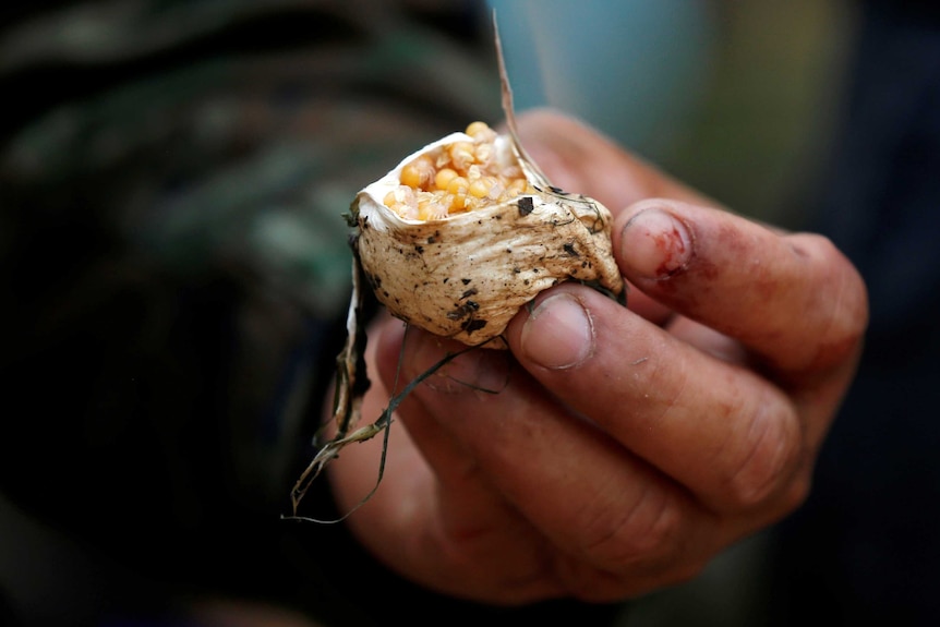 A soldier presents a pod of spider eggs during the multilateral military exercise.