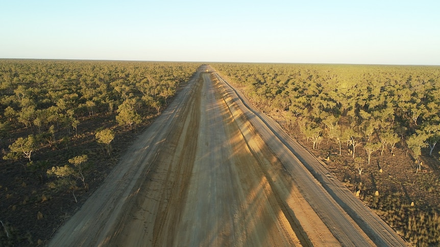 Image of land cleared on a remote cattle station in the Kimberley. The cleared land stretches towards the horizon.