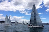 Yachts line up for the start