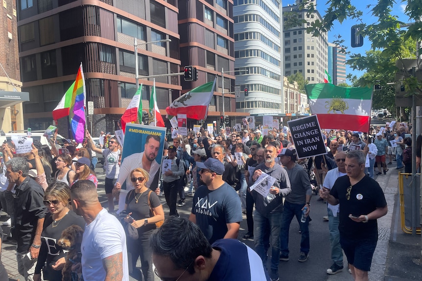 a crowd of people walk through a street carrying flags and placards supporting Iranian people