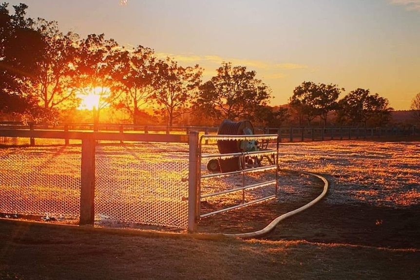 The morning sun peaks through a fence line, illuminating the frozen dew on the gates.