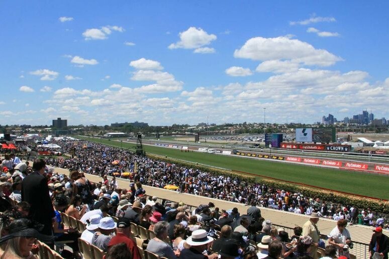 Crowds of people watch the track at Flemington.