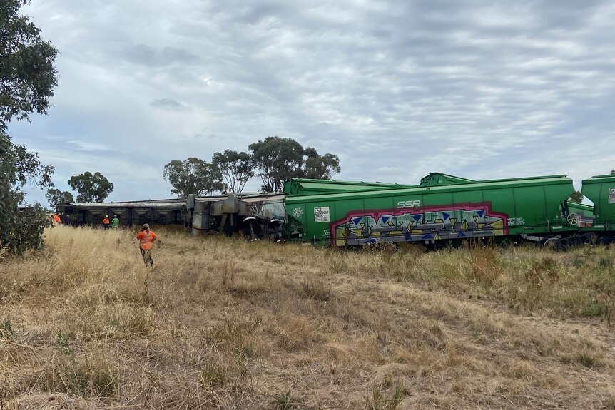 Train carriages sit askew in long grass after a derailment in the countryside.
