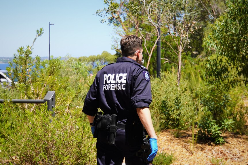A forensic police officer inspects bushland and a track.