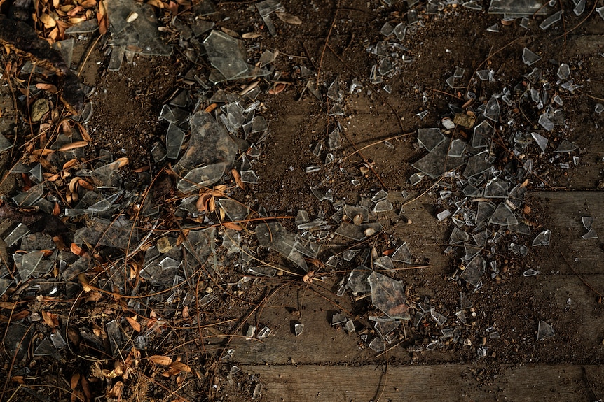 Glass and leaves cover an old wooden floor