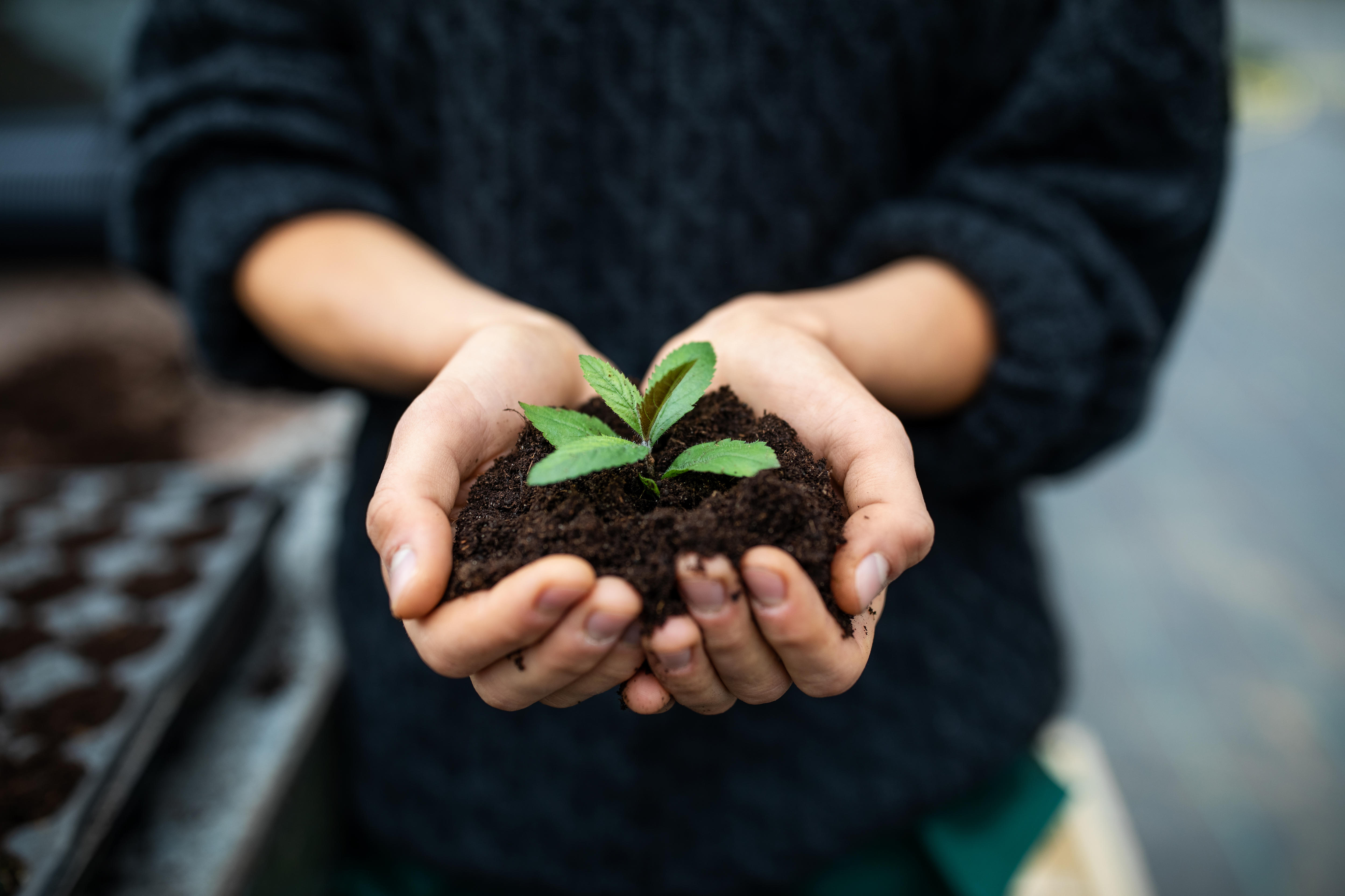 Life without money and the possibilities of the gift economy