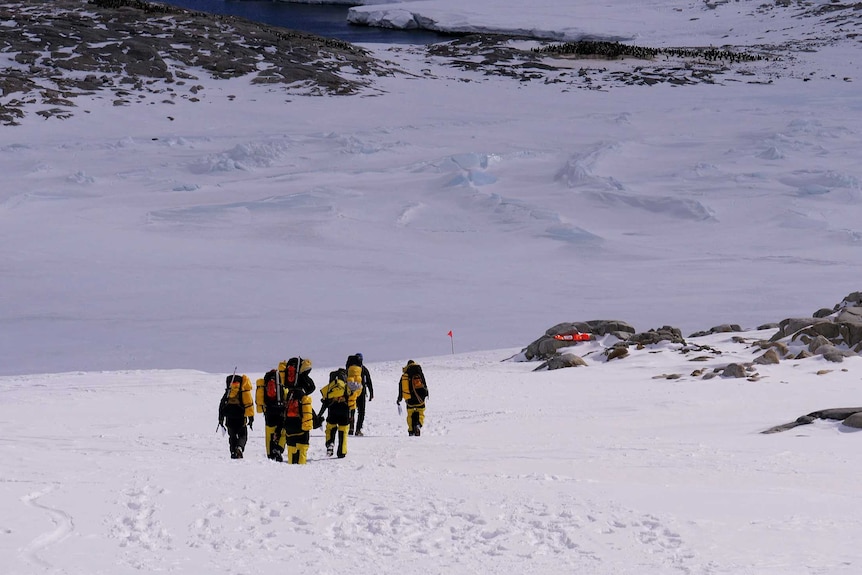 A group of people walk through the snow.