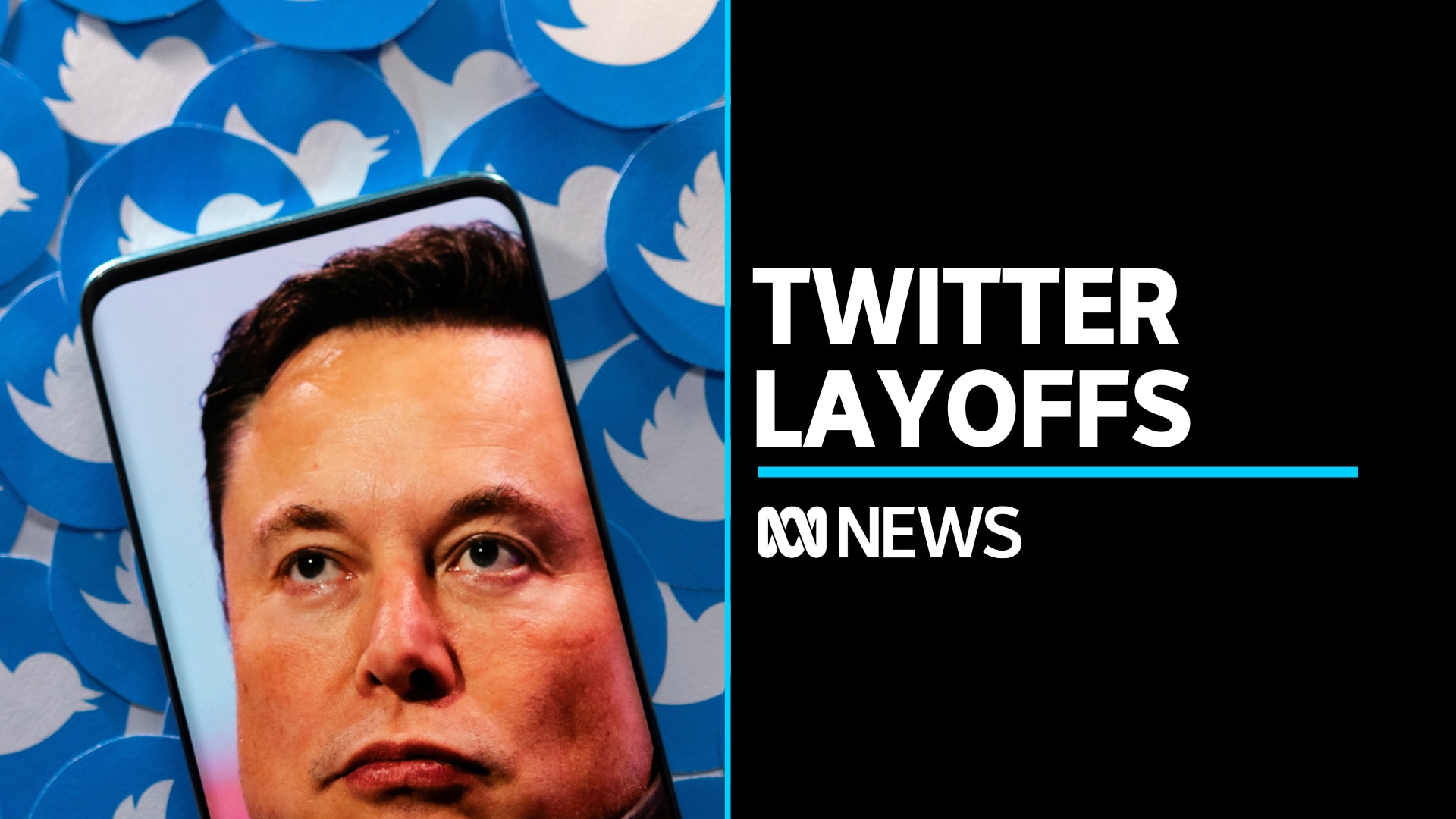 Twitter sacks half of staff as Elon Musk launches overhaul - ABC News