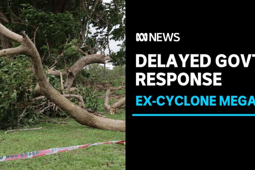 Delayed Govt Response, Ex-Cylone Megan: A fallen tree.