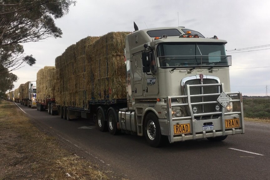 Hay trucks pass through Port Augusta