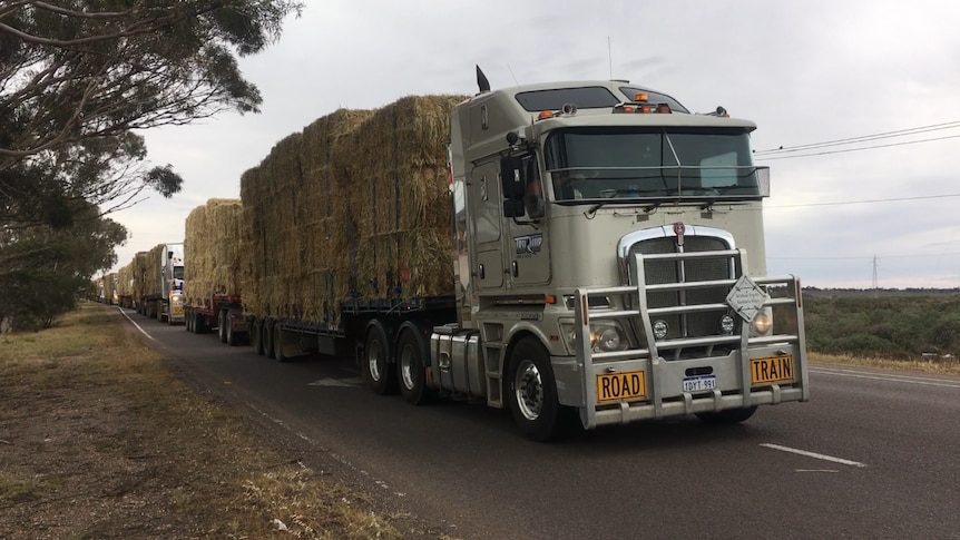 Hay trucks pass through Port Augusta