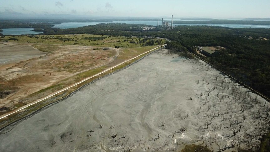 A dam surrounded by trees is covered by ash with a power station next to it