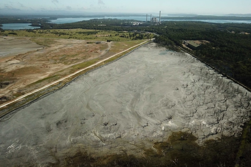 A dam surrounded by trees is covered by ash with a power station next to it