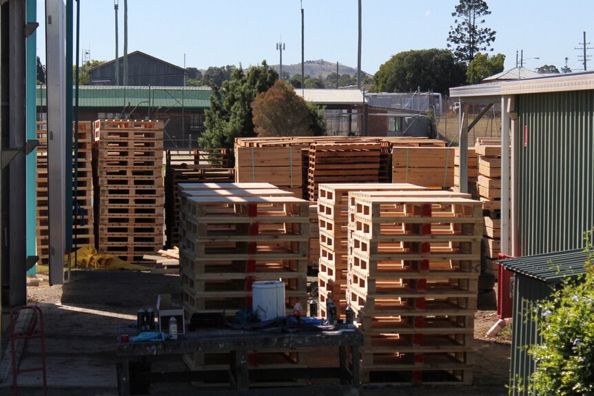 Stacks of pine pallets