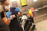 Allana Landolfo uses her phone while wearing a mask and gloves with her luggage on a trolley at an airport.