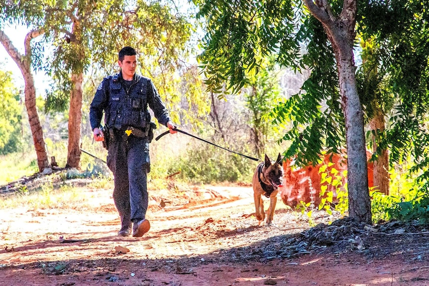 A man wearing a police uniform walks with a police dog on a leash through scrub.