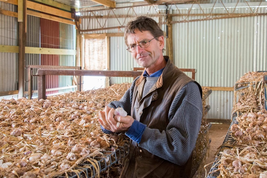 Tobias Koenig holding garlic