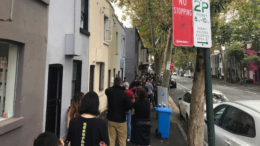 Dozens of people line up along a leafy street in Darlinghurst, Sydney.