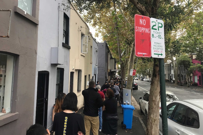 Dozens of people line up along a leafy street in Darlinghurst, Sydney.