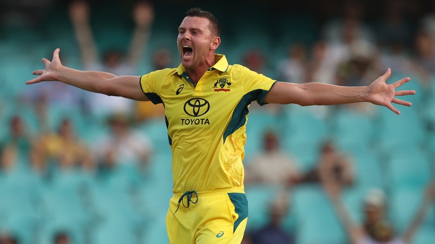 Josh Hazlewood holds his arms out and appeals